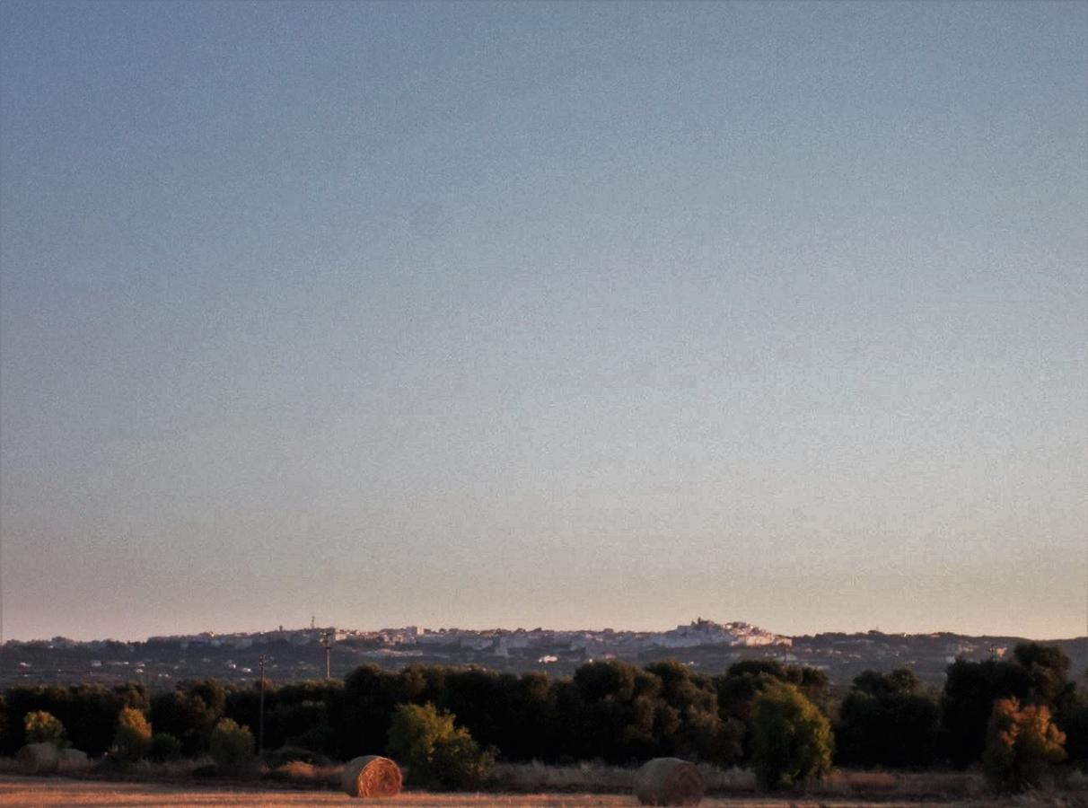 Masseria Di Benedetto Daire Ostuni Dış mekan fotoğraf