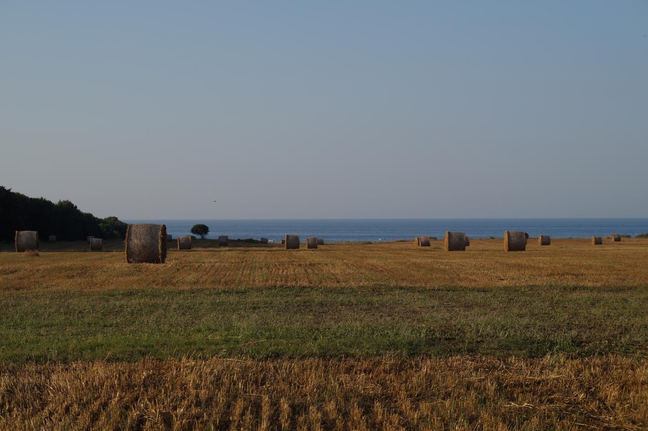 Masseria Di Benedetto Daire Ostuni Dış mekan fotoğraf