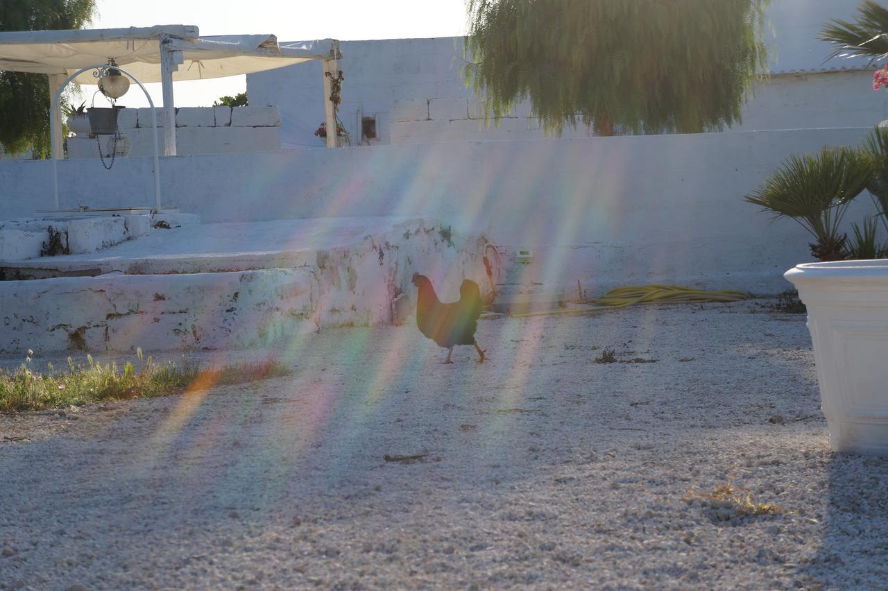 Masseria Di Benedetto Daire Ostuni Dış mekan fotoğraf