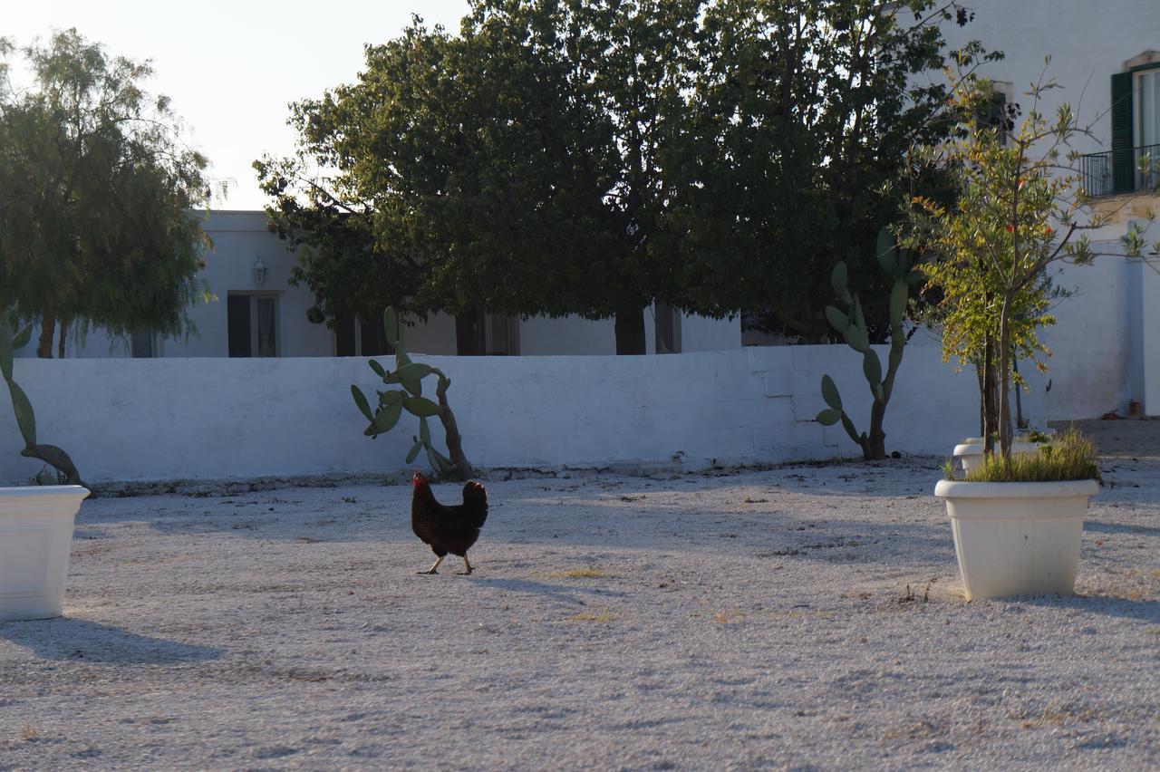 Masseria Di Benedetto Daire Ostuni Dış mekan fotoğraf